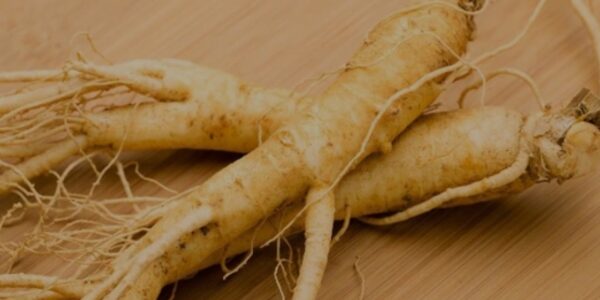 Ginseng