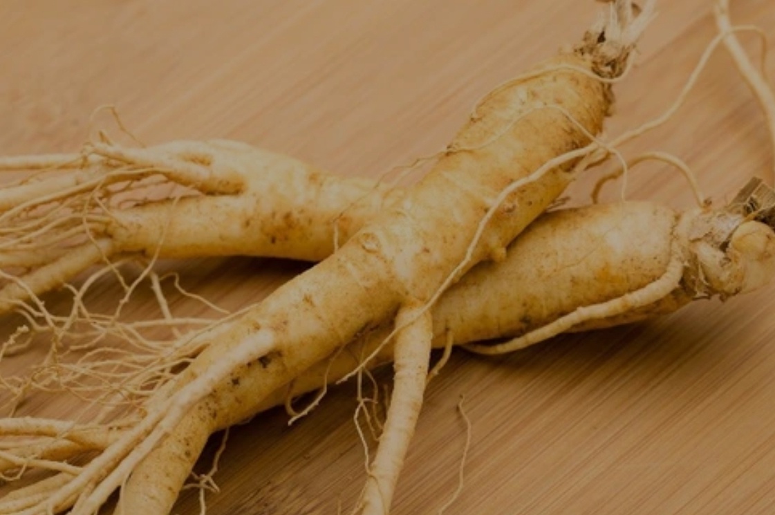 Ginseng